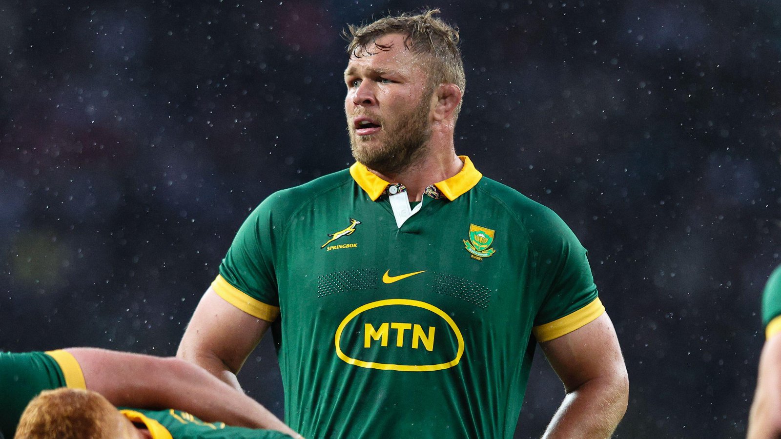 Duane Vermeulen