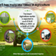 Smart-Agriculture-Precision-Farming-and-IoT-Sensors