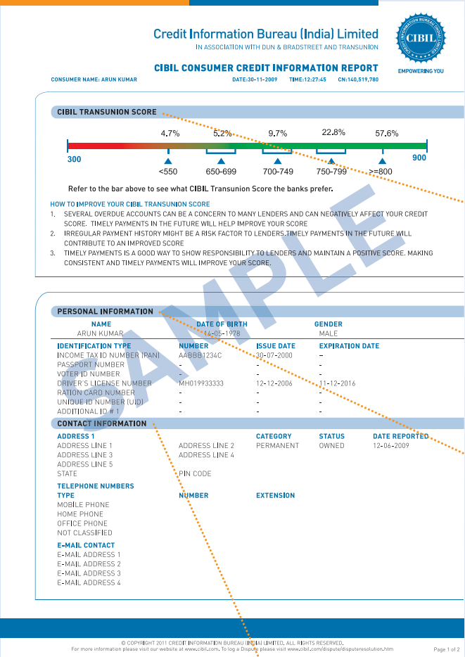 Sample CIBIL credit report screenshot showing errors to fix
